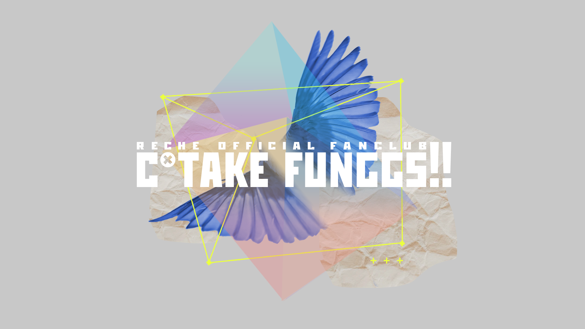 reche official fanclub c*take funggs!! FC限定コンテンツ：りしぇぺでぃあ[2024年11月29日更新分]